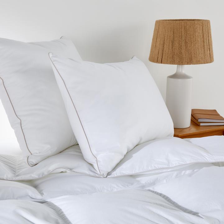 Immagine prodotto La Redoute Interieurs Lri Synthetique Ultra Gonflant (40 x 60 cm)