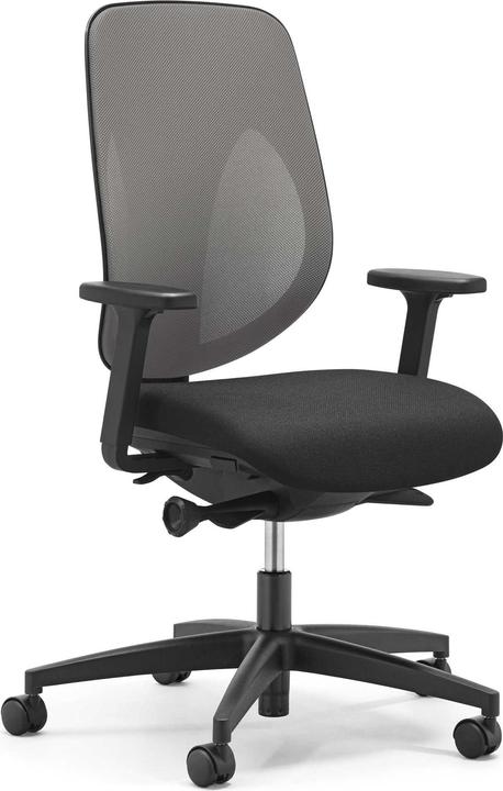 Immagine prodotto Giroflex 353 Ritorno netto
