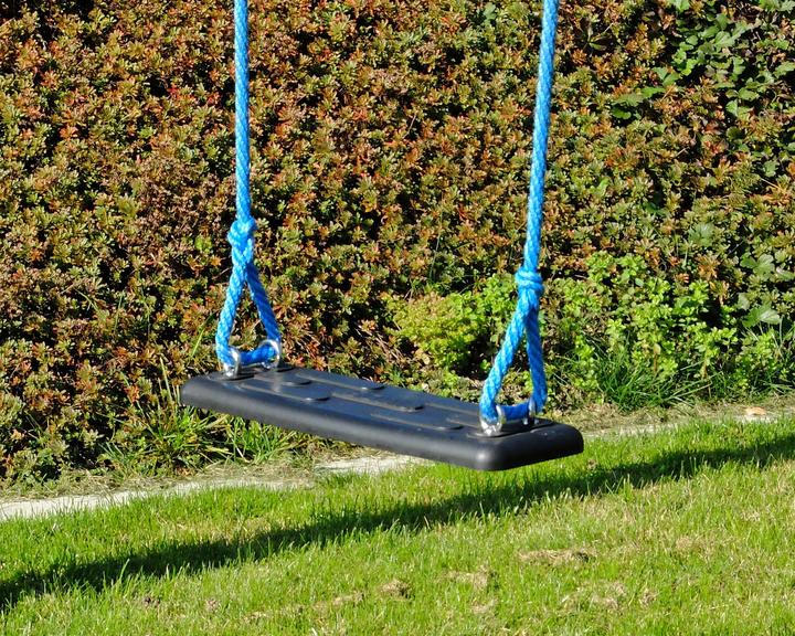 Immagine prodotto Bowi Sedile girevole di sicurezza corto