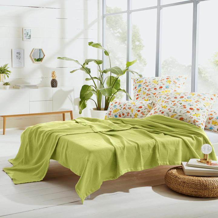 Actual product image Erwin Müller Summer blanket (220 x 240 cm)