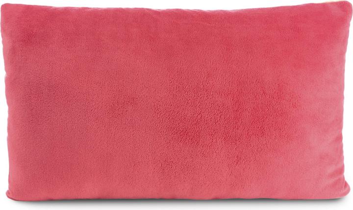 Produktbild NICI 61226 Kissen Capybara Capy-Barbara 43x25cm GREEN (43 x 25 cm)