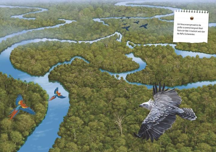Immagine prodotto Verborgene Welt des Regenwaldes (Tedesco, Kristina Scharmacher scrittrice, Ferruccio Cucchiarini, 2020)
