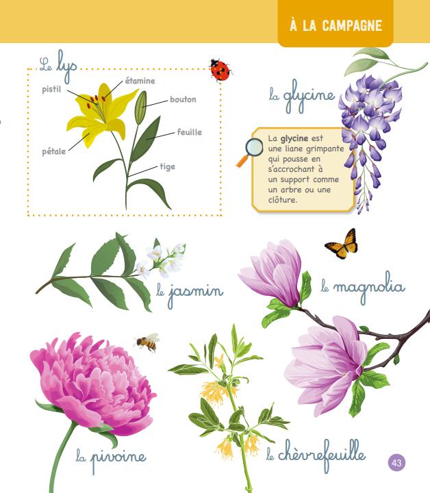 Image du produit Le grand imagier Montessori de la nature et des animaux (Français, Georges Laurence, 2023)