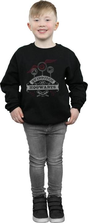 Produktbild Quidditch At Hogwarts Sweatshirt Jungen (140, 146)