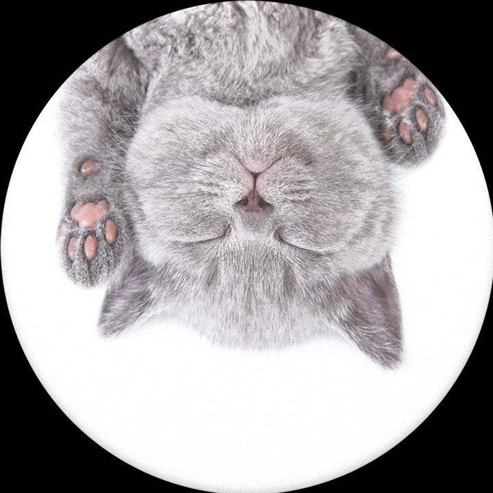 Produktbild PopSockets Cat Nap