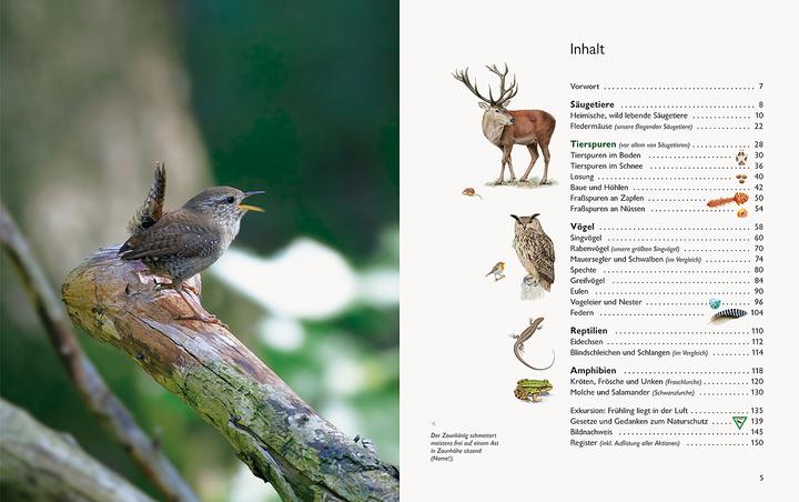 Actual product image Wawra's Naturbuch, Band 1: Säugetiere, Vögel, Reptilien, Amphibien (German, Johannes Wawra, Ursula Wawra, 2020)