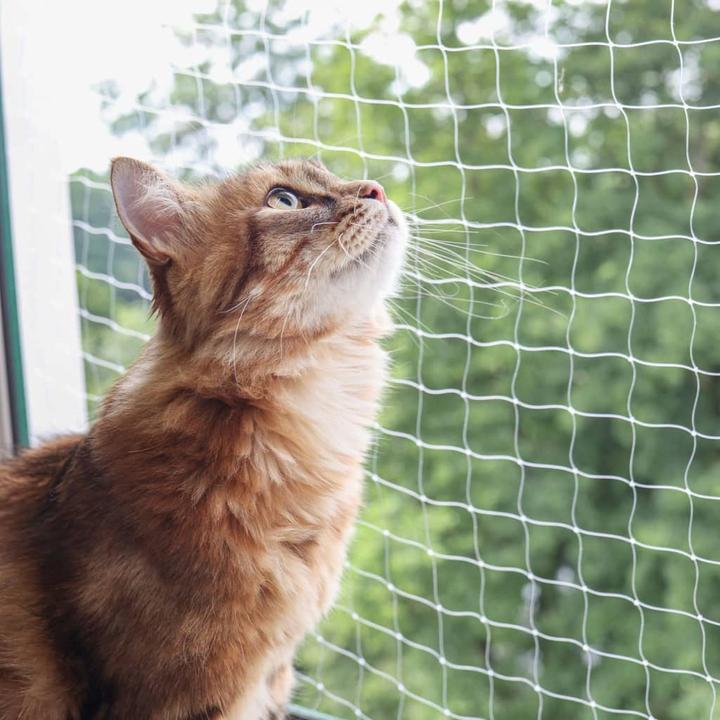 Produktbild Kerbl Katzenschutznetz