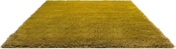 Immagine prodotto Brink & Campman Ombra alta (170 x 240 cm)