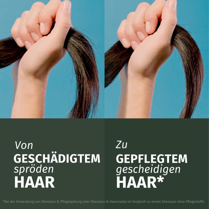 Actual product image Herbal Essences Repair with argan oil (300 ml)