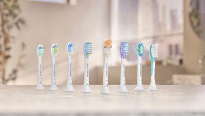 Actual product image Philips Sonicare G3 Premium Gum Care (2 x)