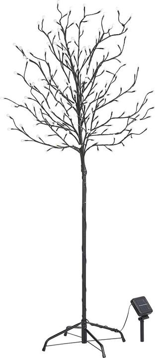 Immagine prodotto Lunartec Set di 2 alberi di luce solare a LED XL (IP44)