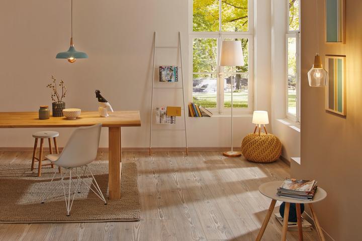 Produktbild Paulmann Neordic Juna (E14)