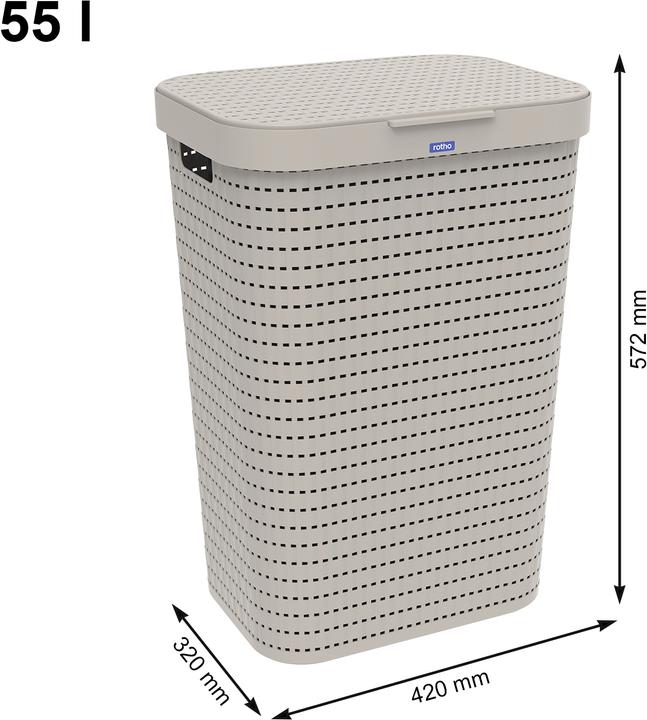 Image du produit Rotho Pays (55 l)