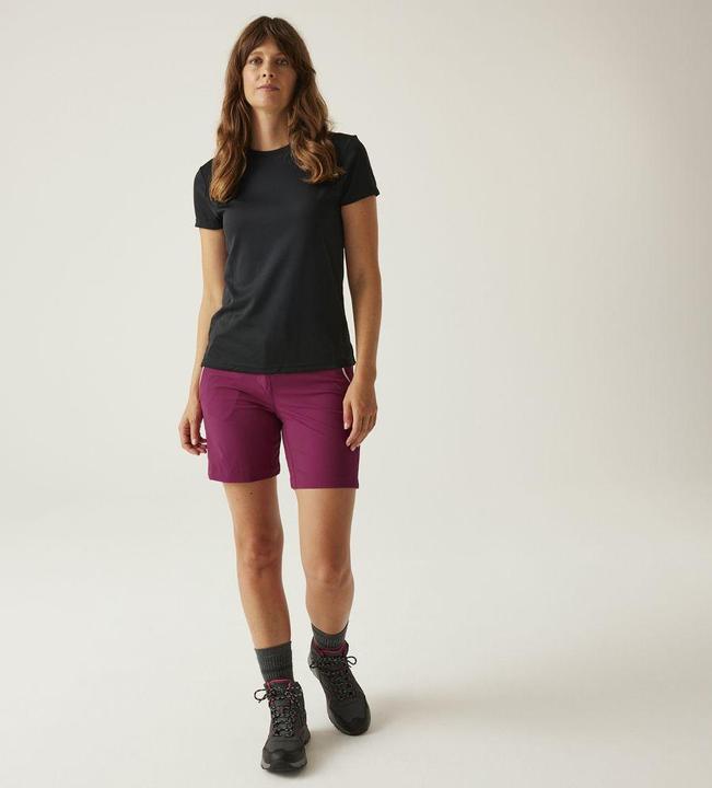 Produktbild Regatta Mountain Shorts II (XS)