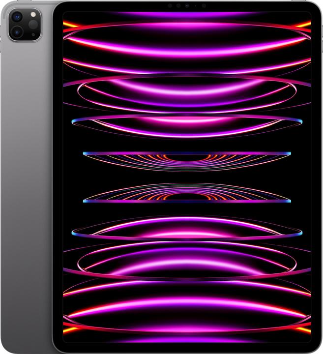 Apple iPad Pro 2022 (6th Gen) (WLAN only, 12.90", 128 GB, Space Grey)