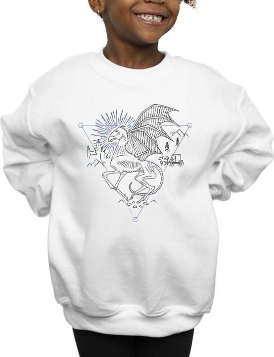 Image du produit - Sweat THESTRAL LINE ART - Fille (152, 158)