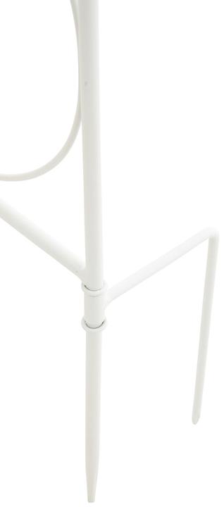 Immagine prodotto CLP Traliccio di mandevilla, bianco (1 cm, 99 cm)