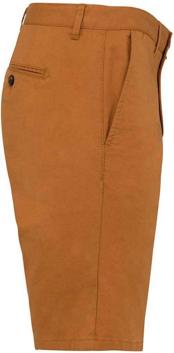 Actual product image Native Spirit Mens Casual Shorts (36)