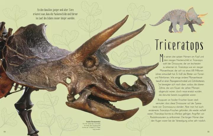 Actual product image Wundervolle Welt der Dinosaurier und der Urzeit (German, Anusuya Chinsamy-Turan, 2022)