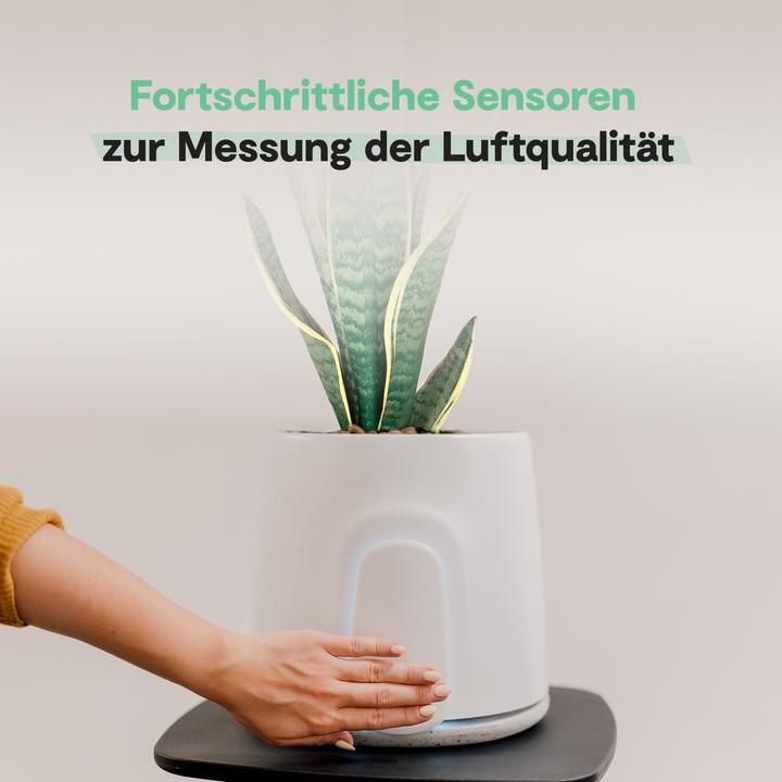 Actual product image Vitesy Natede Smart (20 m²)