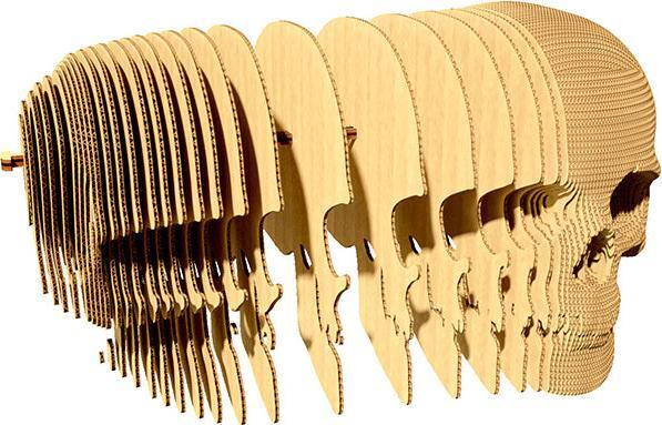 Immagine prodotto Cartonic Cranio - Modello di cartone 3D