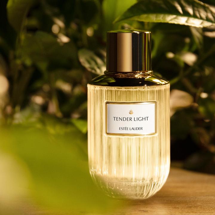 Produktbild Estée Lauder Luxury Fragrance Tender Light (Eau de Parfum, 100 ml)