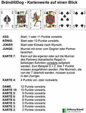Produktbild Brändi Dog Kurzanleitung