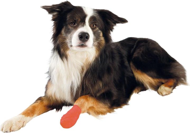 Produktbild Trixie Bandagen (Hund)
