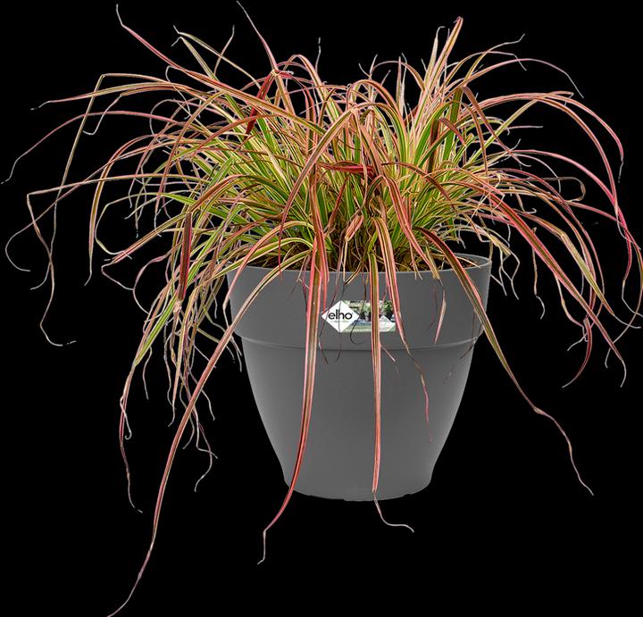 Actual product image Elho Vibia Campana (34.50 cm)