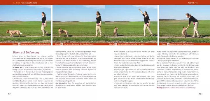 Immagine prodotto Welpen-Erziehung (Tedesco, Katharina Schlegl-Kofler, 2010)