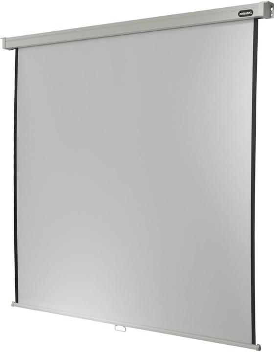 Produktbild Celexon Rollo Professional, Leinwand, 1:1 (87.68", 1:1)