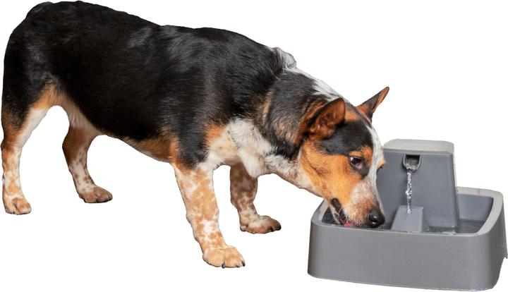 Produktbild Sportdog Drinkwell 3.7 Litre Pet Fountain - EU Adaptor (3.70 l)
