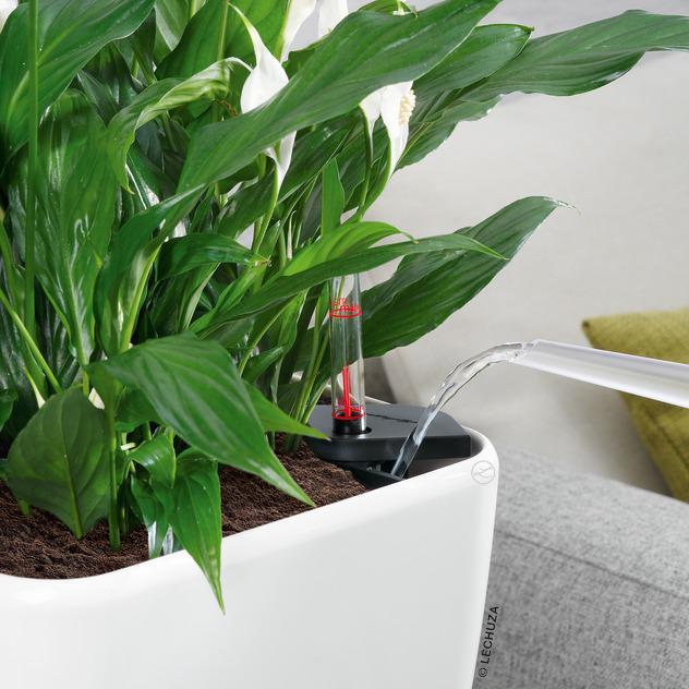 Image du produit Lechuza Quadro LS (28 cm)