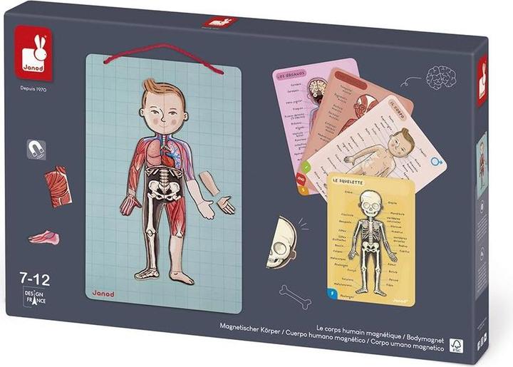 Actual product image Janod Magnetic body (German, English, French, Italian, Spanish)