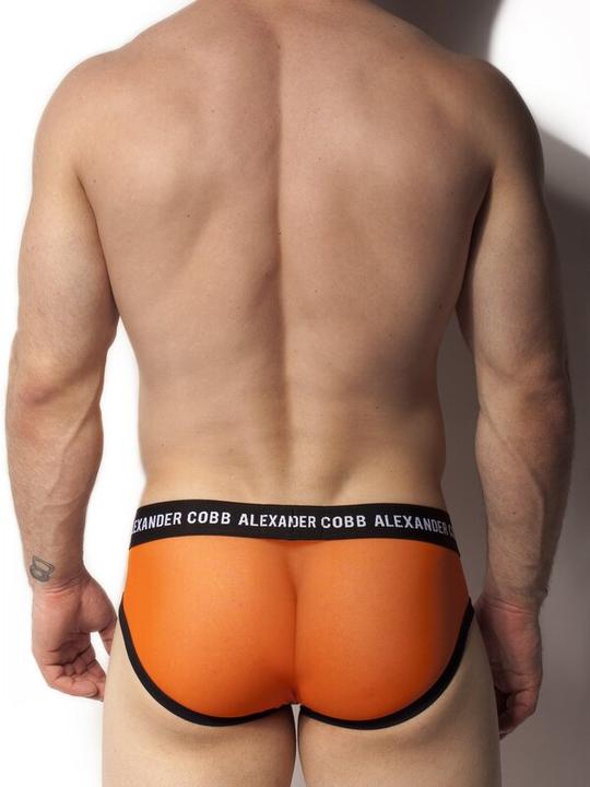 Produktbild Alexander Cobb Transparent Slip (L)
