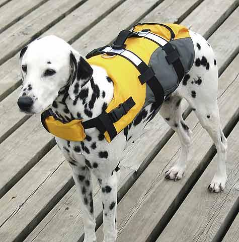 Produktbild Compass Hunde-Schwimmweste (XL, Hundeschwimmweste)