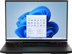 Medion Erazer Beast X40 i9 32 N W11H 30035230 (17.01", Intel Core i9-13900HX, 64 GB, 2000 GB, DE)