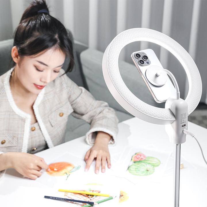 Actual product image Ulanzi LT030 Magsafe Led Light EU plug