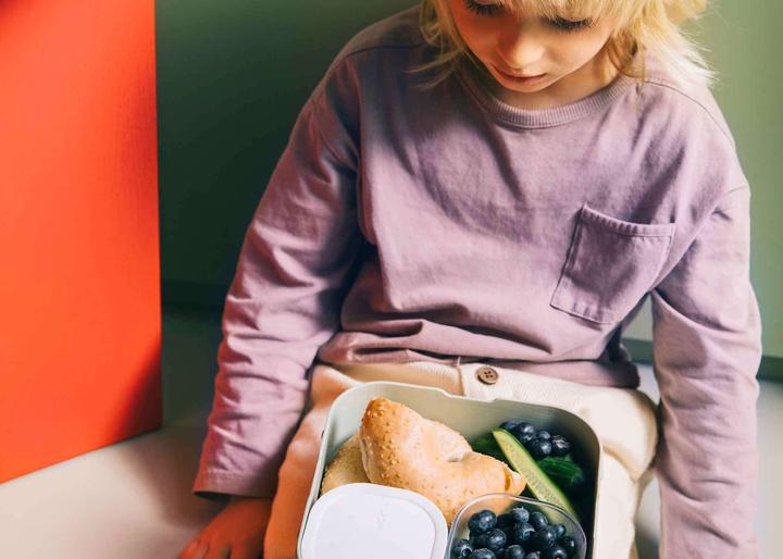Actual product image Little Dutch Bento Lunchbox Campus Gross - Fairy Garden
