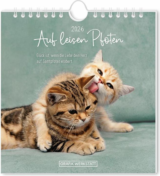 Produktbild Postkartenkalender 2026 Auf leisen Pfot (16 x 17 cm, Deutsch)