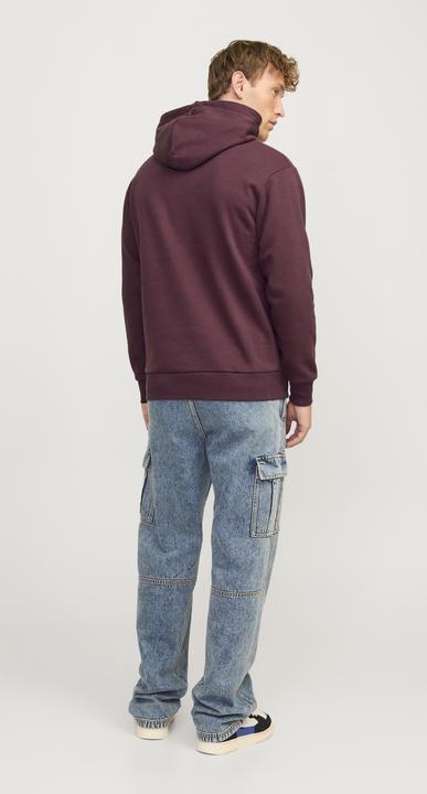 Image du produit Jack & Jones Jjecaleb Varsity Sweat Hood Noos (S)