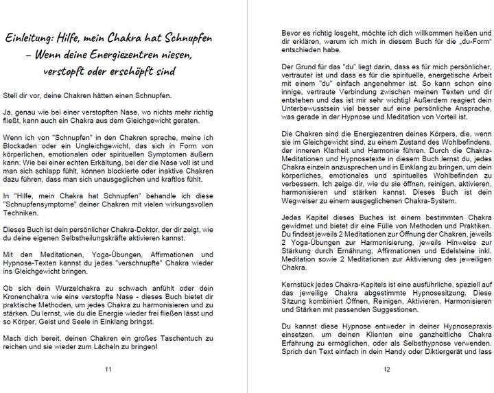 Image du produit Hilfe mein Chakra hat Schnupfen (Allemand, Angelina Schulze, 2023)