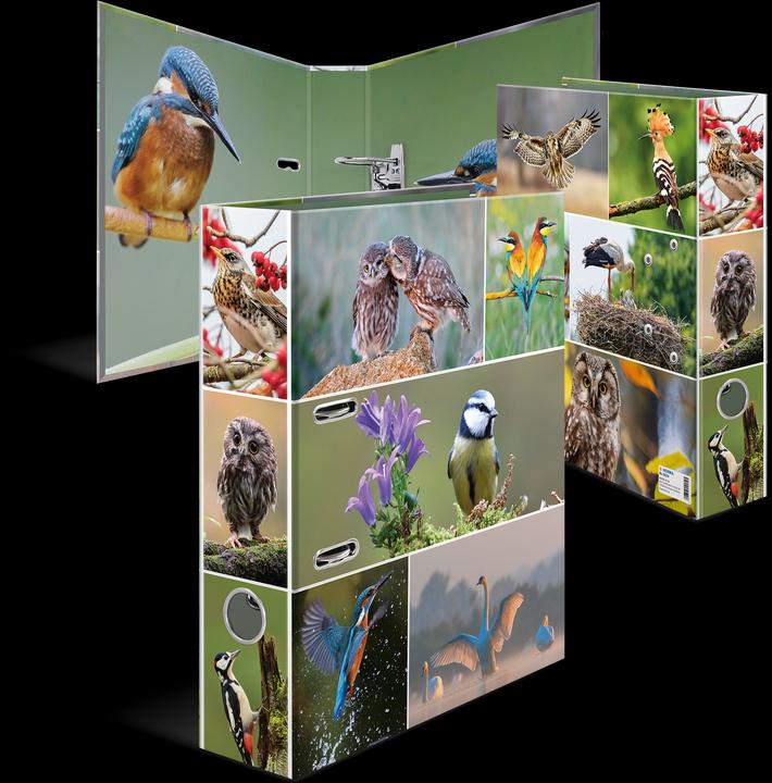 Image du produit Herma Dossier A4 Motif (A4, 70 mm, 1 pièce(s))