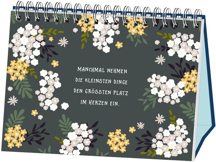Produktbild Hallo Glück! Zeit für Wohlfühlmomente (Deutsch, GRAFIK WERKSTATT Das Original, 2020)