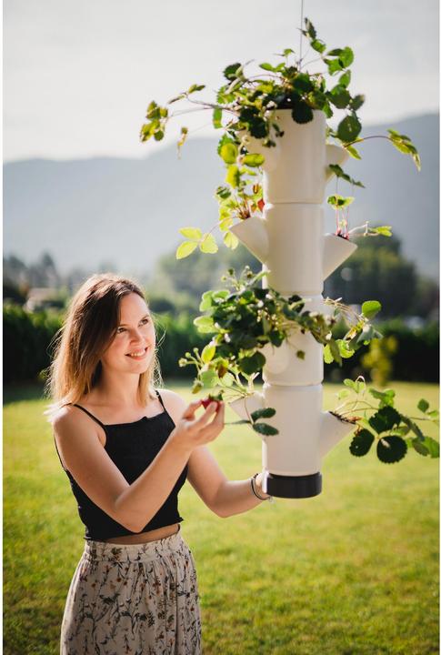Image du produit Gusta Garden Sissi Fraise (48 cm)