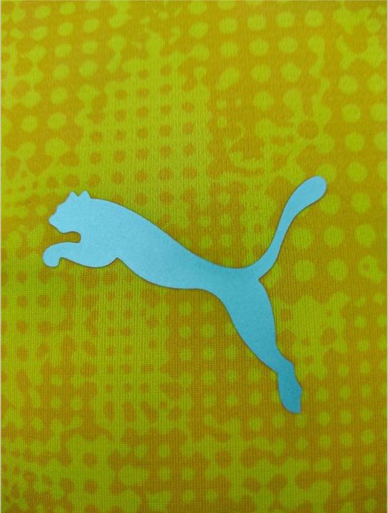 Actual product image Puma teamCUP Training Jersey (3XL)