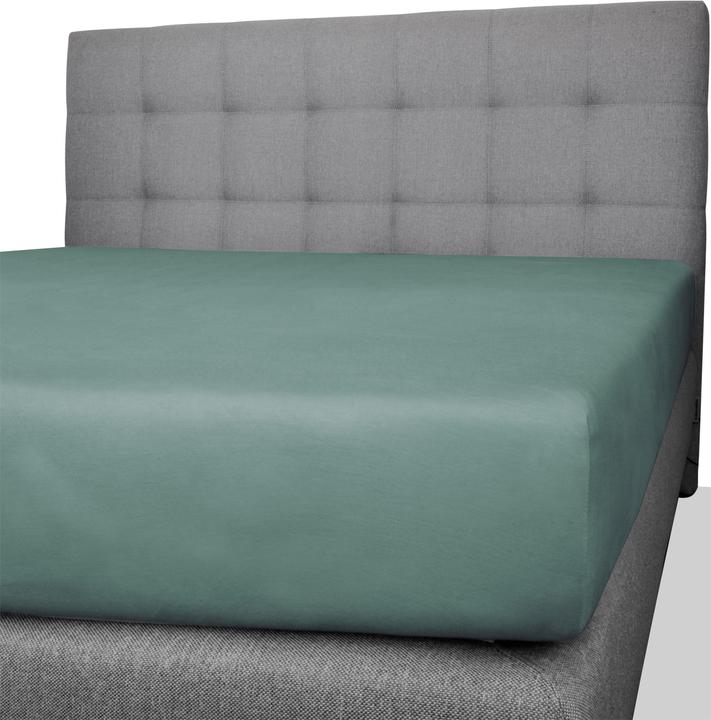 Actual product image Aspero 2 x cotton fitted sheets (180 x 200 x 25 cm)