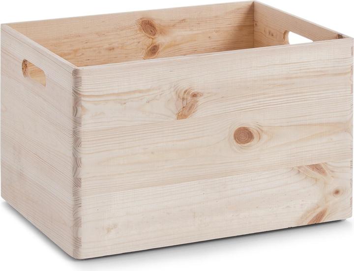 Image du produit Zeller Present Boîte polyvalente (40 x 30 x 24 cm, 29 l)