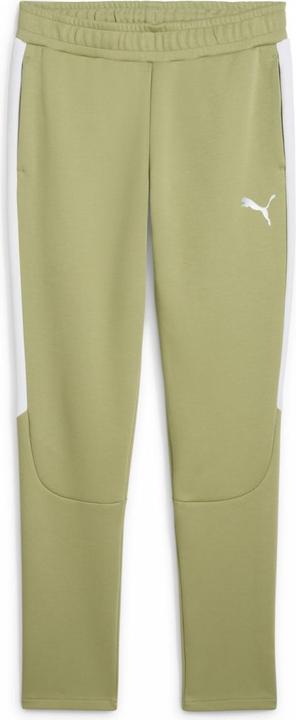 Image du produit Puma teamEVOSTRIPE Pants (L)