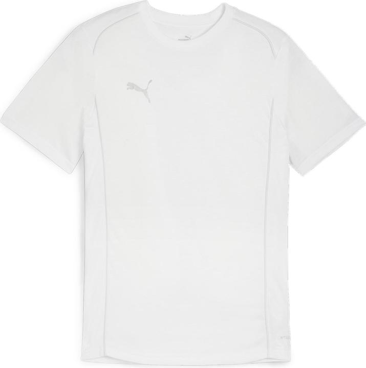 pumabiancopumasilver